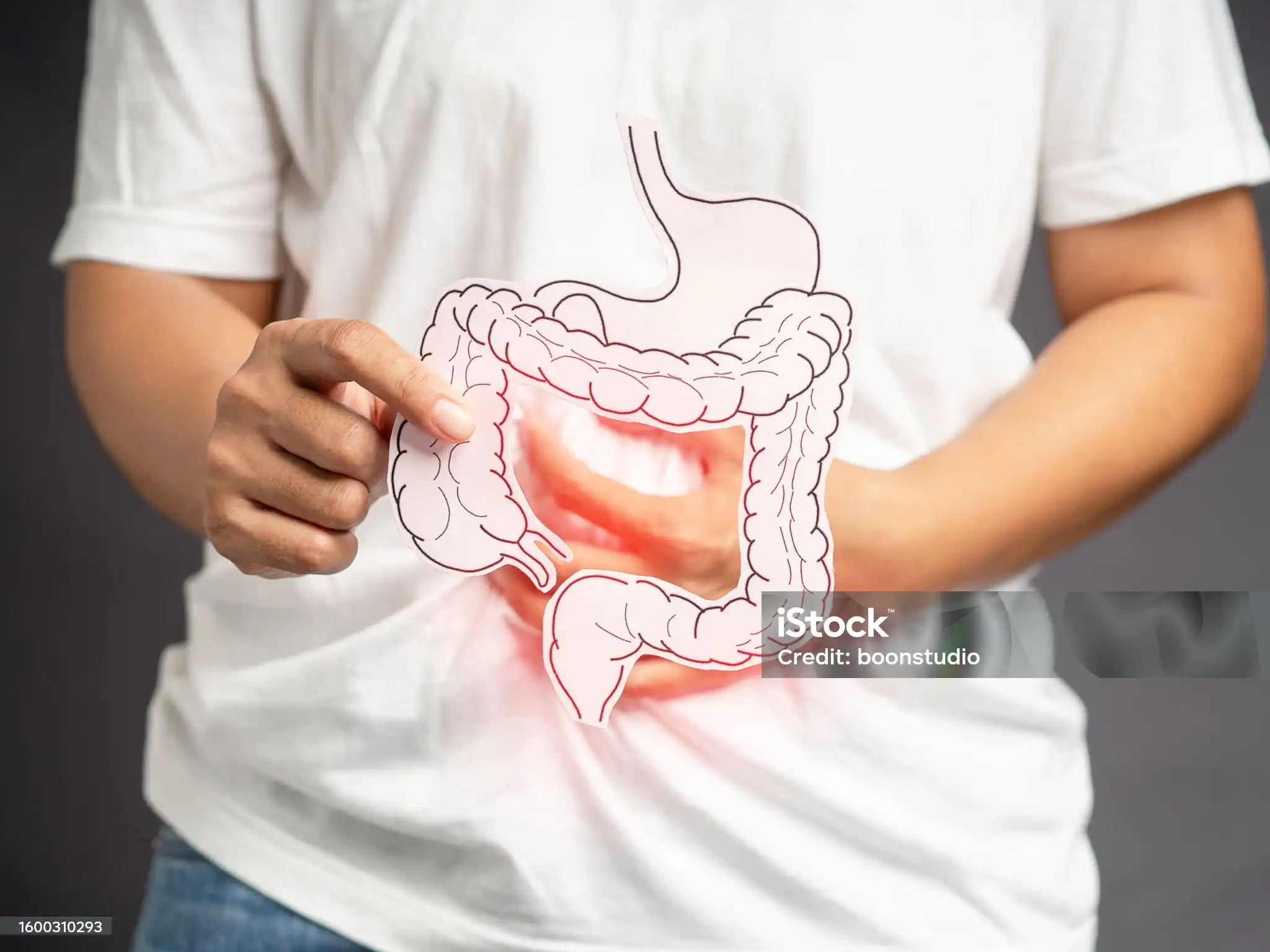 Persona sosteniendo un recorte ilustrado del sistema digestivo sobre su abdomen