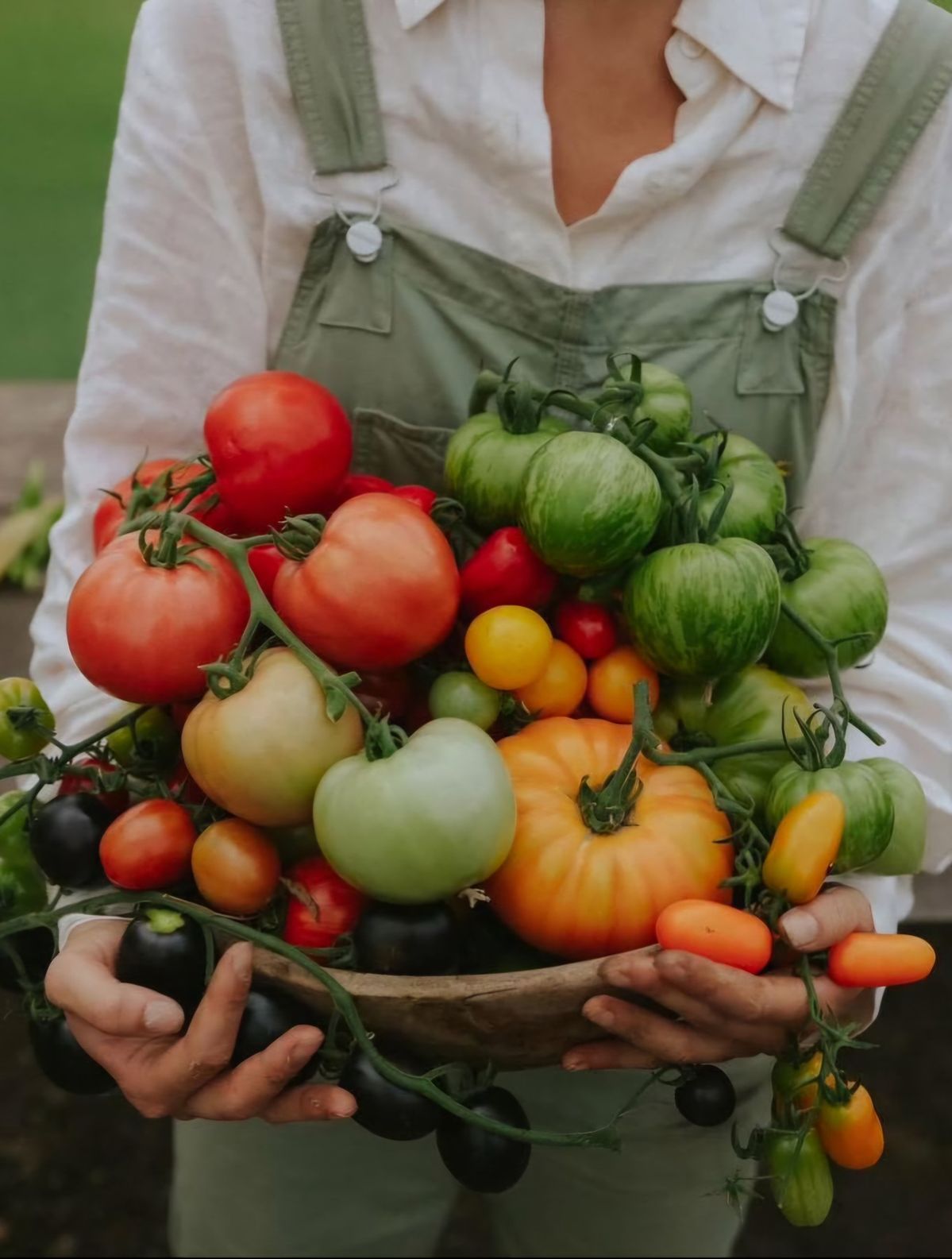 Persona sosteniendo un tazón con tomates frescos de varios colores