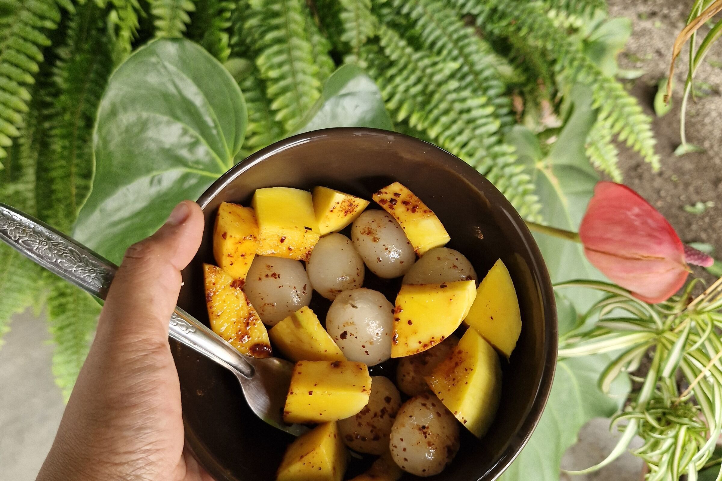 Tazón con mango y lichis en la mano, sobre un fondo de plantas